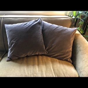 POTTERY BARN Velour Throw Piillows, 19” Square